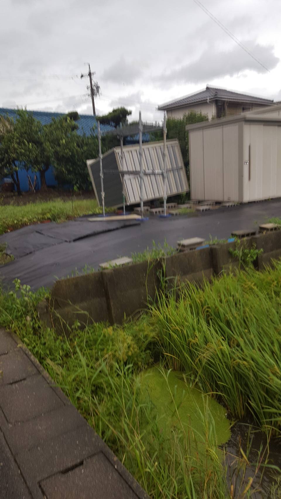 台風被害