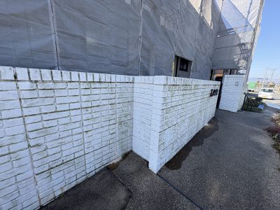 外壁のコケや藻などの汚れにバイオ洗浄